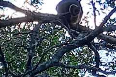 IMG-20221026-WA0011