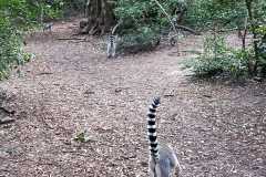IMG-20221026-WA0012