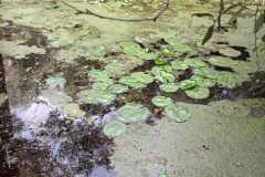 IMG-20221026-WA0015